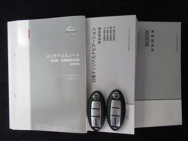 日産 ルークス ６６０ ハイウェイスターＸ R2年 (九州・沖縄) 99