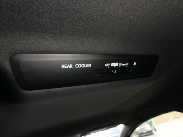 トヨタ ノア ２．０ ＳＩ H29年 (中国) 99