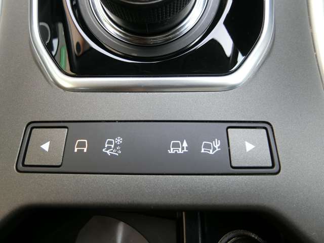 ランドローバー レンジローバーイヴォーク ＳＥ プラス ４ＷＤ H29年 (中国) 99