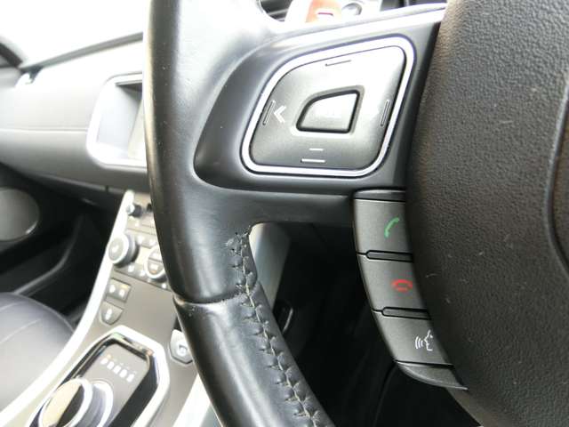 ランドローバー レンジローバーイヴォーク ＳＥ プラス ４ＷＤ H29年 (中国) 99