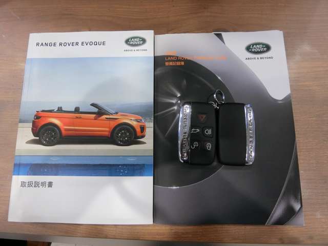 ランドローバー レンジローバーイヴォーク ＳＥ プラス ４ＷＤ H29年 (中国) 99