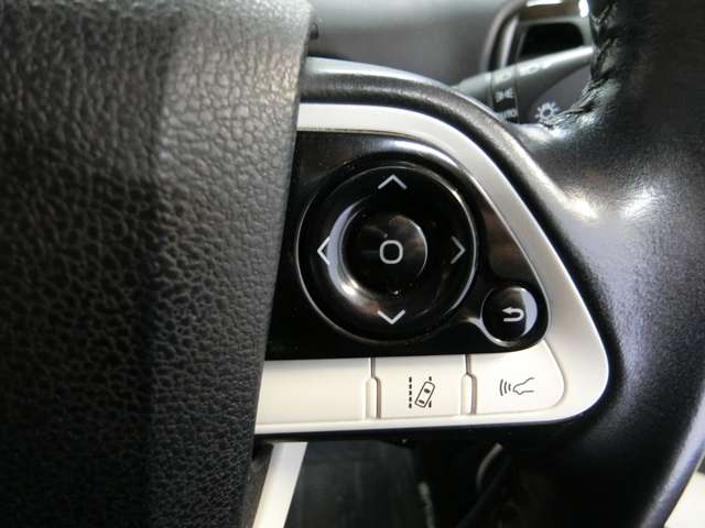 トヨタ プリウス １．８ Ａ プレミアム ツーリングセレクション H29年 (中国) 99