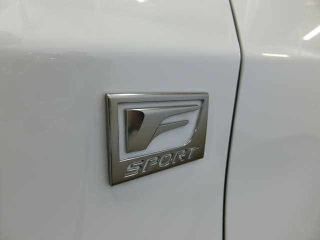 レクサス ＲＸ４５０ｈ ４５０Ｈ Ｆスポーツ ４ＷＤ H27年 (中国) 99