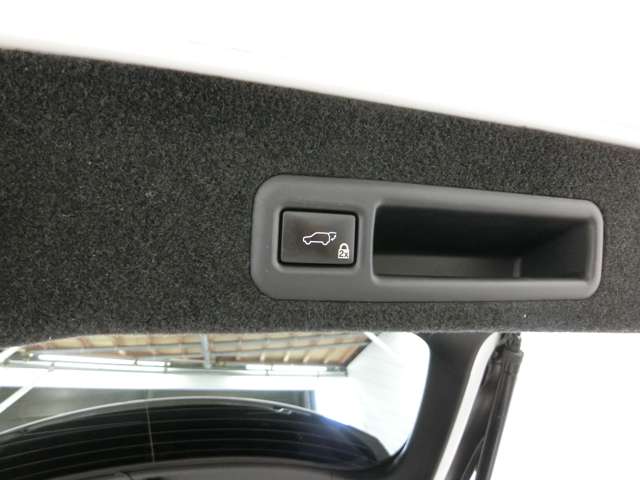 レクサス ＲＸ４５０ｈ ４５０Ｈ Ｆスポーツ ４ＷＤ H27年 (中国) 99