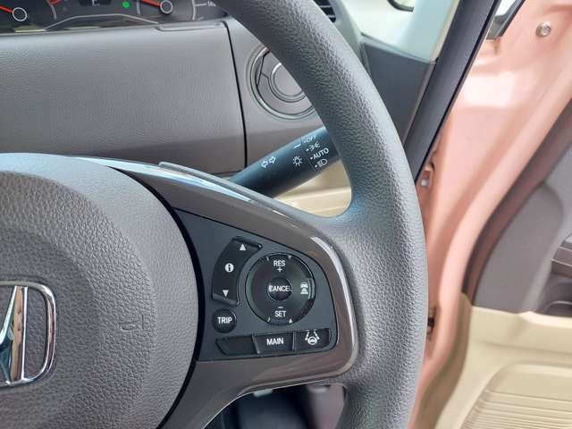 ホンダ Ｎ　ＢＯＸ ６６０ Ｇ Ｌ ホンダセンシング H29年 (九州・沖縄) 99