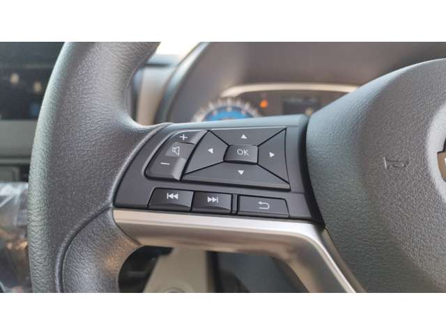 日産 ルークス ６６０ Ｘ R5年 (甲信越・北陸) 99