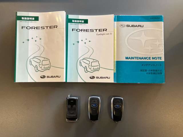 スバル フォレスター ２．０Ｉ－Ｌ アイサイト ４ＷＤ H28年 (北海道) 99