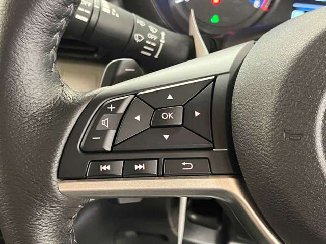 三菱 デリカ　ミニ ６６０ Ｔ プレミアム ４ＷＤ R7年 (北海道) 99