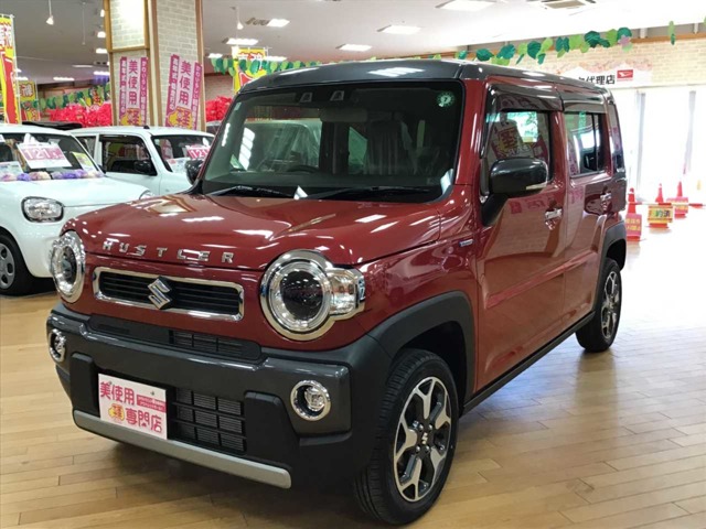 スズキ ハスラー ６６０ ハイブリッド Ｘ R6年 (北海道) 99
