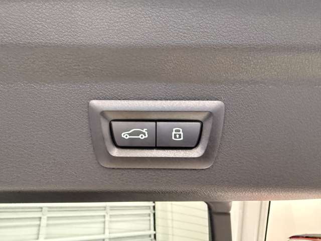 ＢＭＷ ｉＸ２ Ｘドライブ３０ Ｍスポーツ ４ＷＤ R6年 (関東) 99