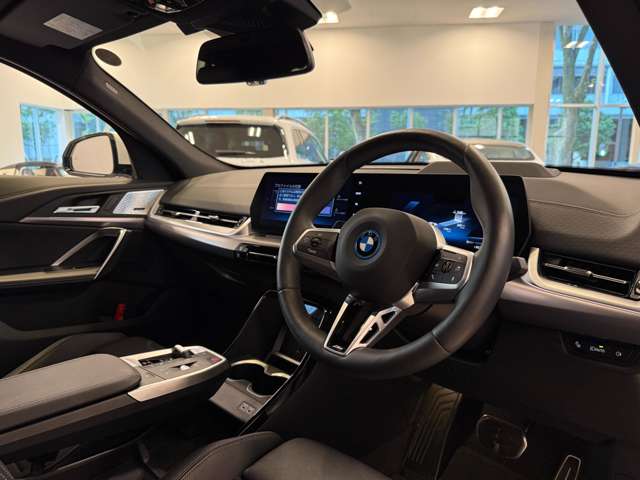 ＢＭＷ ｉＸ２ Ｘドライブ３０ Ｍスポーツ ４ＷＤ R6年 (関東) 99