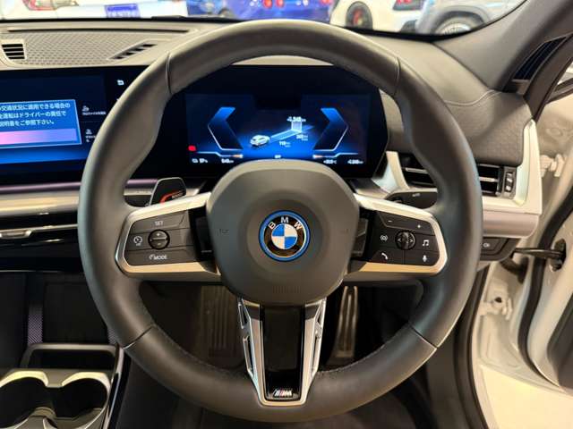 ＢＭＷ ｉＸ２ Ｘドライブ３０ Ｍスポーツ ４ＷＤ R6年 (関東) 99