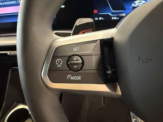 ＢＭＷ ｉＸ２ Ｘドライブ３０ Ｍスポーツ ４ＷＤ R6年 (関東) 99