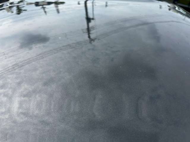 ダイハツ コペン セロ ６６０ R5年 (甲信越・北陸) 99