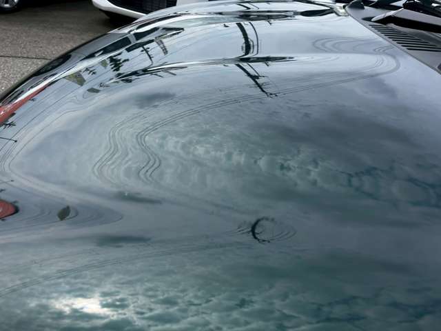 ダイハツ コペン セロ ６６０ R5年 (甲信越・北陸) 99