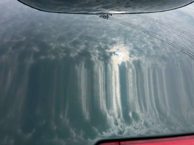 ダイハツ コペン セロ ６６０ R5年 (甲信越・北陸) 99