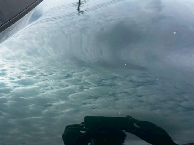 ダイハツ コペン セロ ６６０ R5年 (甲信越・北陸) 99