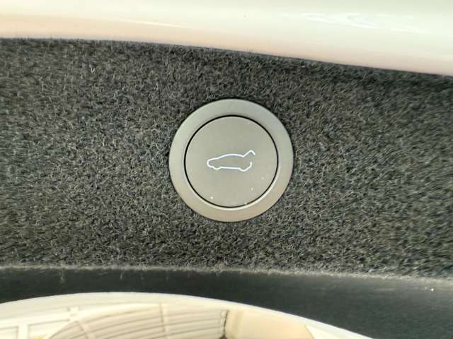 テスラ モデル３ ロングレンジ R6年 (関東) 99