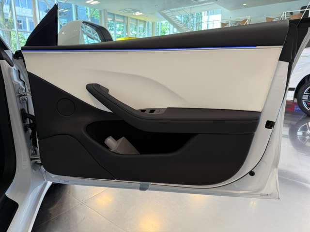 テスラ モデル３ ロングレンジ R6年 (関東) 99