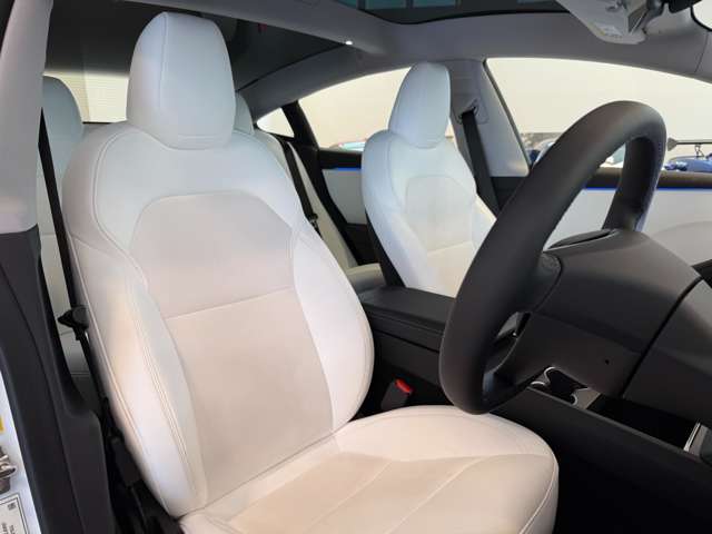 テスラ モデル３ ロングレンジ R6年 (関東) 99