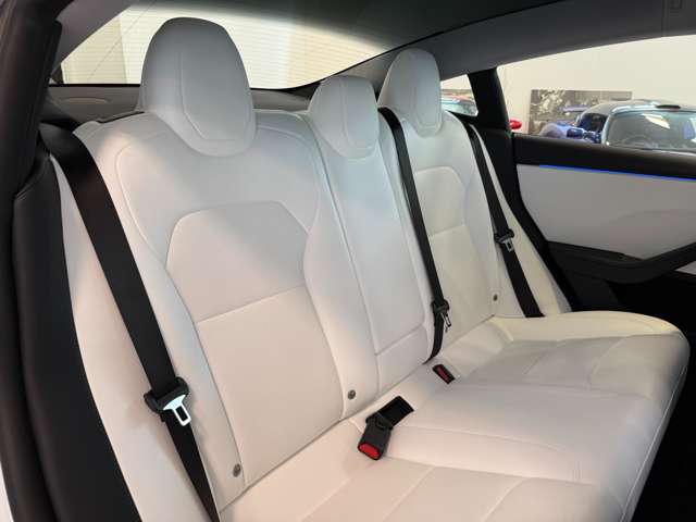 テスラ モデル３ ロングレンジ R6年 (関東) 99