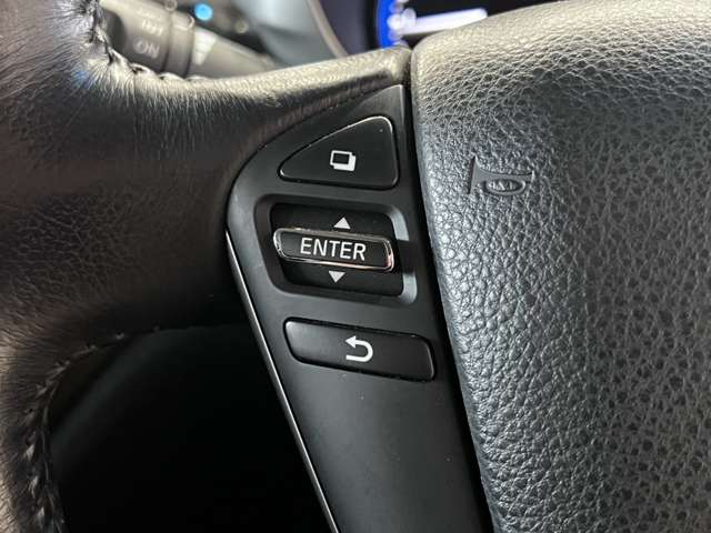 日産 エルグランド ２．５ ２５０ハイウェイスター H26年 (関東) 99