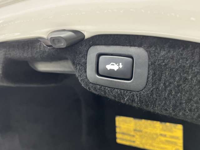 レクサス ＬＳ４６０ バージョンＬ H24年 (関東) 99