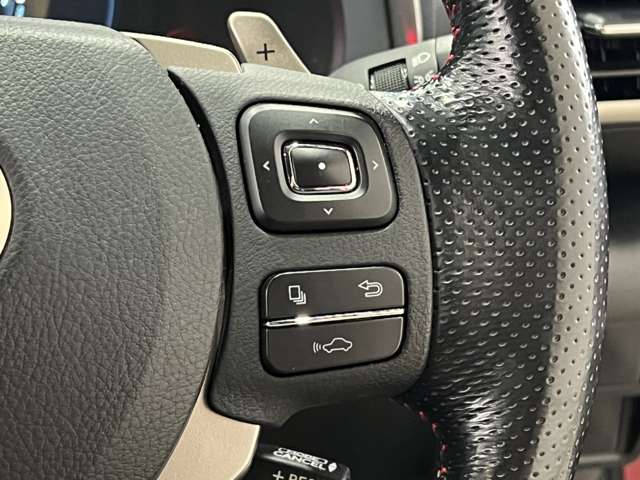 レクサス ＲＣ２００ｔ Ｆスポーツ H29年 (関東) 99