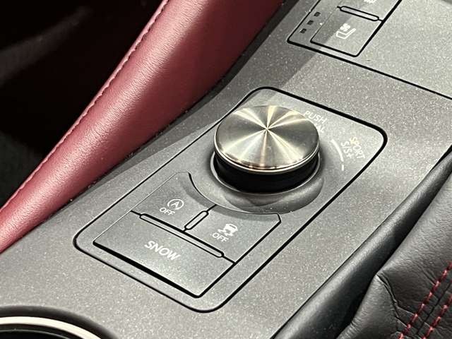 レクサス ＲＣ２００ｔ Ｆスポーツ H29年 (関東) 99