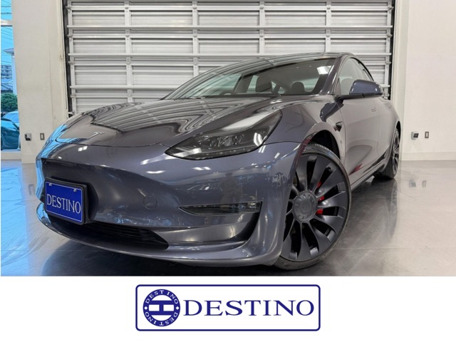 テスラ モデル３ パフォーマンスレンジ R4年 (関東) 99