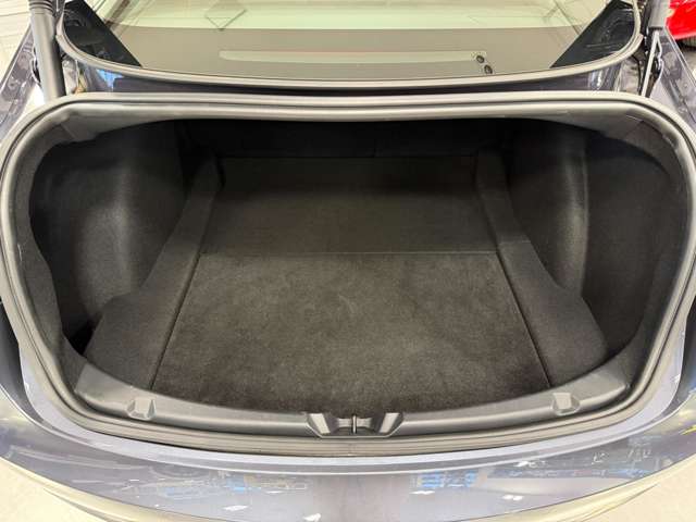 テスラ モデル３ パフォーマンスレンジ R4年 (関東) 99