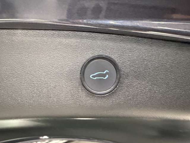 テスラ モデル３ パフォーマンスレンジ R4年 (関東) 99