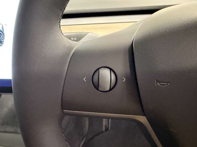 テスラ モデル３ パフォーマンスレンジ R4年 (関東) 99