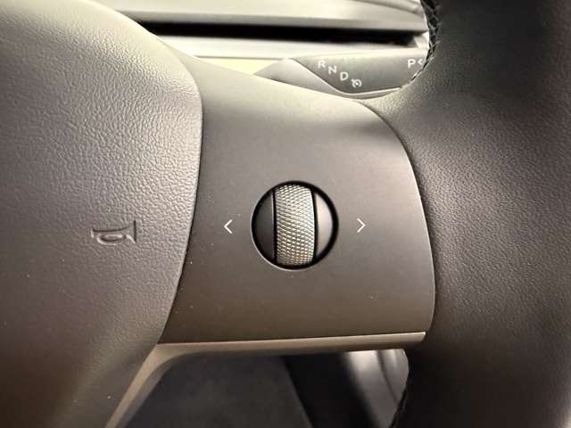 テスラ モデル３ パフォーマンスレンジ R4年 (関東) 99