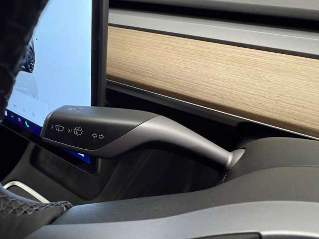 テスラ モデル３ パフォーマンスレンジ R4年 (関東) 99