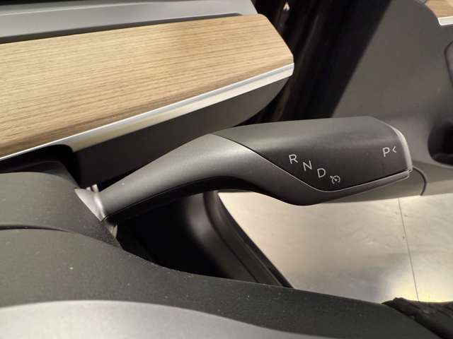 テスラ モデル３ パフォーマンスレンジ R4年 (関東) 99