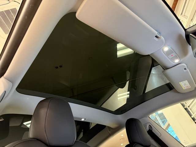 テスラ モデル３ パフォーマンスレンジ R4年 (関東) 99