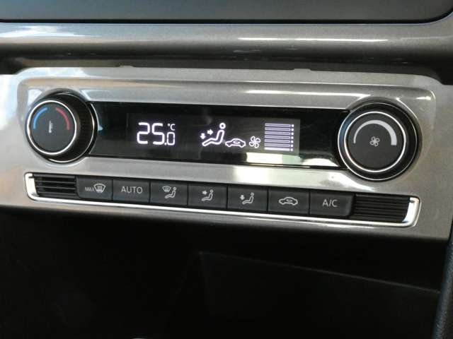 フォルクスワーゲン ポロ オリジナル H29年 (関東) 99