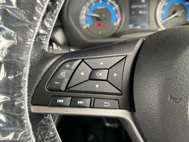 三菱 デリカ　ミニ ６６０ Ｇ プレミアム ４ＷＤ R6年 (北海道) 99