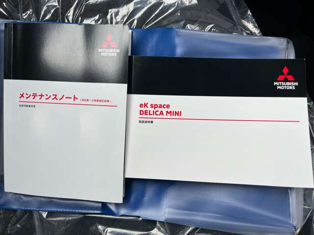 三菱 デリカ　ミニ ６６０ Ｇ プレミアム ４ＷＤ R6年 (北海道) 99