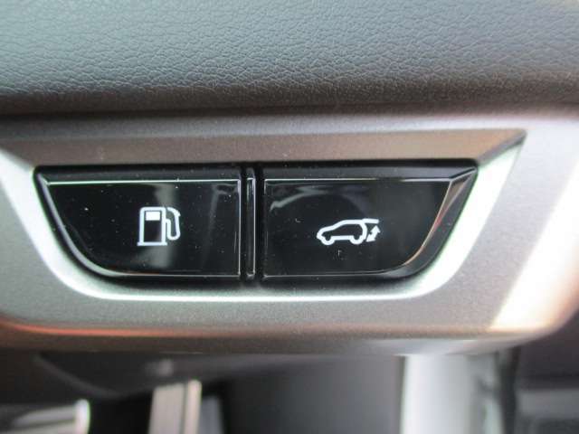 レクサス ＲＸ３５０ ３５０ Ｆスポーツ ４ＷＤ R6年 (中国) 99