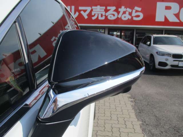 レクサス ＲＸ３５０ ３５０ Ｆスポーツ ４ＷＤ R6年 (中国) 99