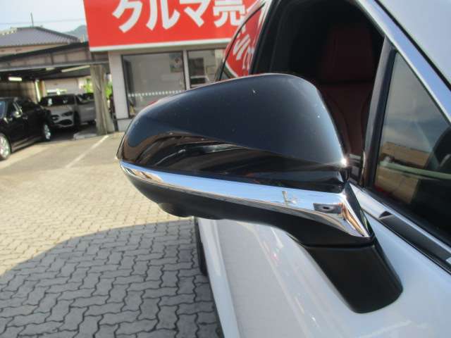 レクサス ＲＸ３５０ ３５０ Ｆスポーツ ４ＷＤ R6年 (中国) 99