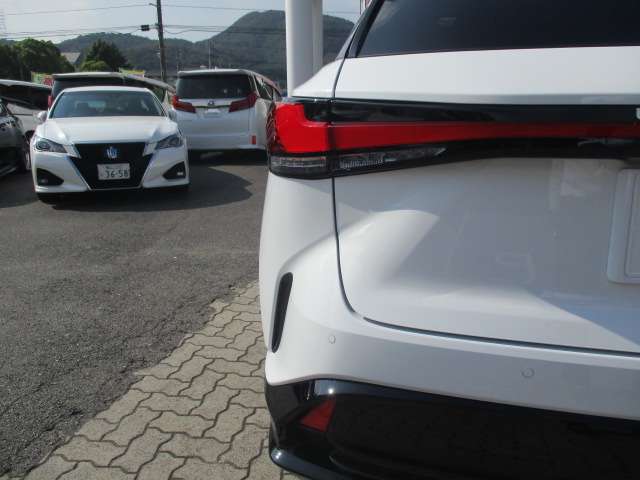 レクサス ＲＸ３５０ ３５０ Ｆスポーツ ４ＷＤ R6年 (中国) 99