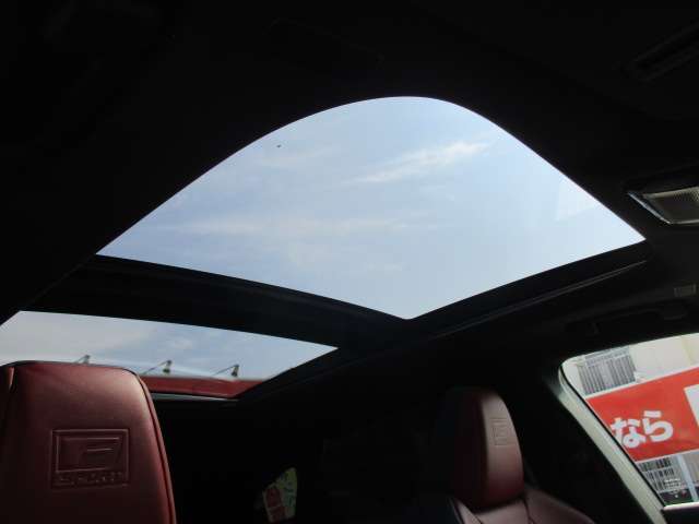 レクサス ＲＸ３５０ ３５０ Ｆスポーツ ４ＷＤ R6年 (中国) 99