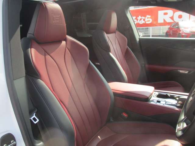 レクサス ＲＸ３５０ ３５０ Ｆスポーツ ４ＷＤ R6年 (中国) 99