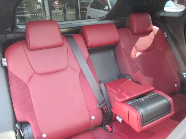 レクサス ＲＸ３５０ ３５０ Ｆスポーツ ４ＷＤ R6年 (中国) 99