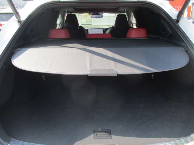 レクサス ＲＸ３５０ ３５０ Ｆスポーツ ４ＷＤ R6年 (中国) 99