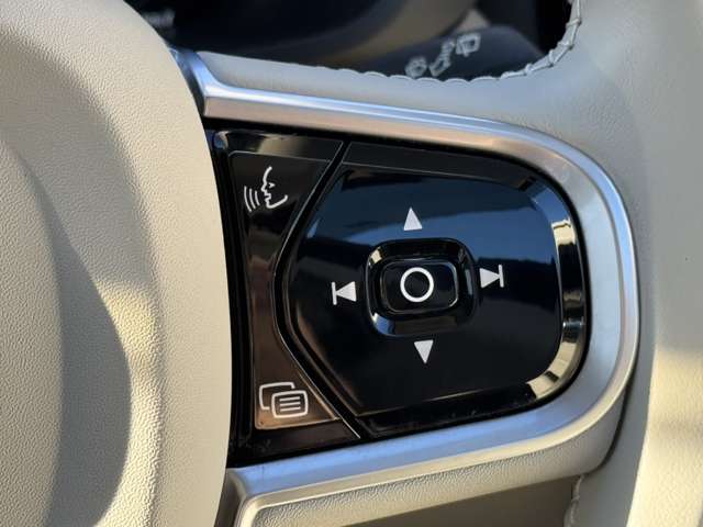 ボルボ ＸＣ６０ Ｄ４ ＡＷＤ インスクリプション ディーゼルターボ ４ＷＤ H30年 (東北) 99