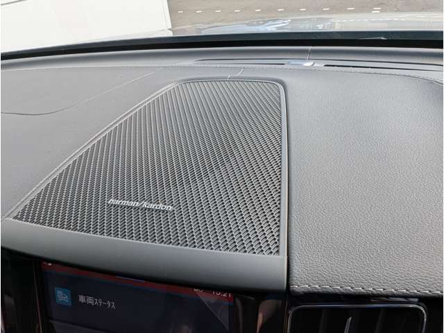 ボルボ ＸＣ６０ ウルトラ Ｂ５ ＡＷＤ ４ＷＤ R7年 (東北) 99